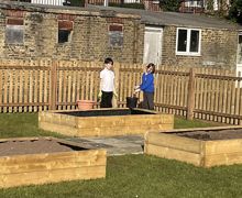 IMG 0168